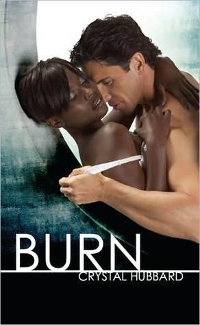 Burn book cover