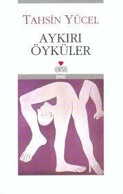 Aykırı Öyküler book cover