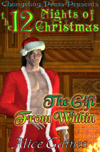 12 Nights Of Christmas book cover 1