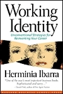 Working Identity book cover