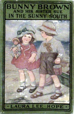Bunny Brown and His Sister Sue in the Sunny South book cover