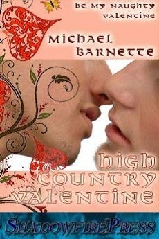High Country Valentine book cover