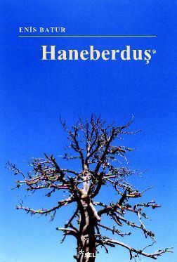 Haneberduş book cover