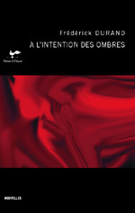 À L'Intention Des Ombres book cover