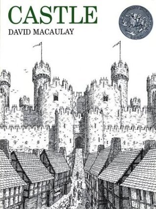 Castle book cover