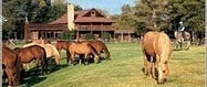 Falls Chance Ranch