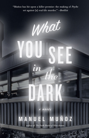 What You See in the Dark book cover