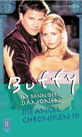 Die Angel Chroniken 3 (The Angel Chronicles, #3)