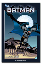 Batman book cover