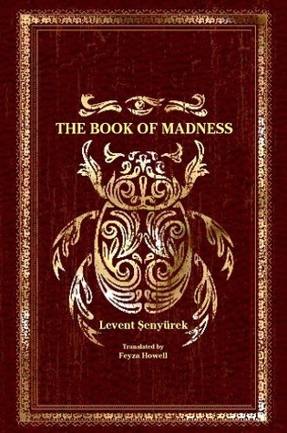 The Book of Madness book cover