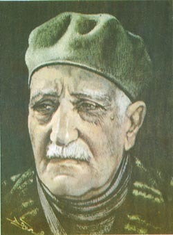 خلاصة اليومية والشذور book cover