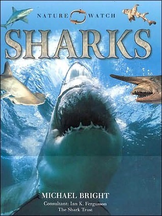 Sharks book cover