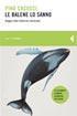 The Whales Know book cover