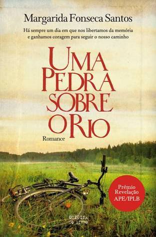 Uma pedra sobre o rio book cover