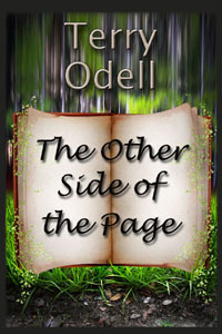 The Other Side of the Page book cover