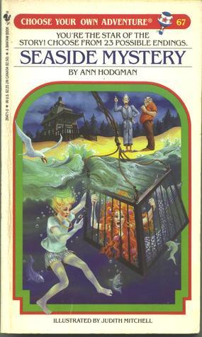 Seaside Mystery book cover