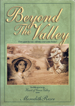 Beyond The Valley book cover