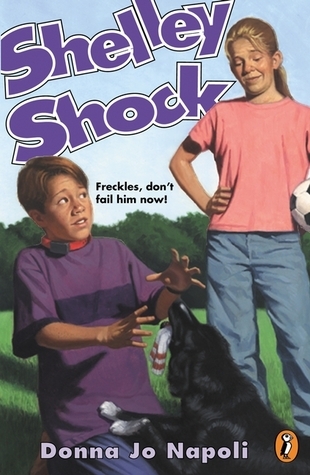 Shelley Shock book cover