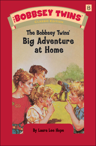 The Bobbsey Twins' Big Adventure at Home book cover
