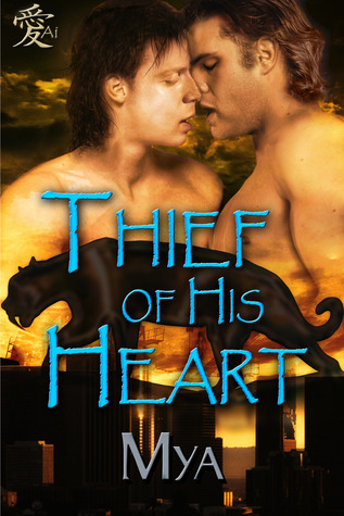Thief of His Heart book cover