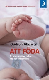 Att föda: En barnmorskas tankar, råd och erfarenheter