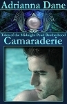 Camaraderie book cover