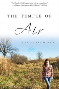The Temple of Air book cover