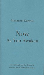 Now, as You Awaken book cover
