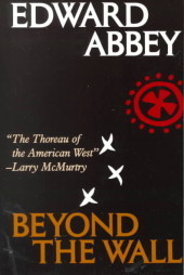 Beyond the Wall book cover