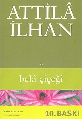 Belâ Çiçeği