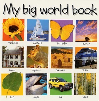 My Big World Book book cover