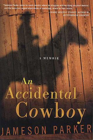 An Accidental Cowboy cover