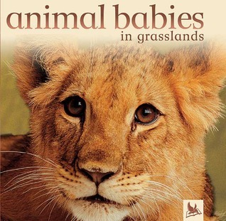 Animal Babies in Grasslands book cover