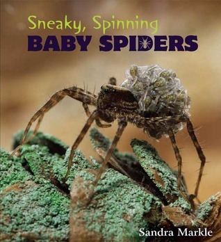 Sneaky, Spinning Baby Spiders by Sandra Markle | Goodreads