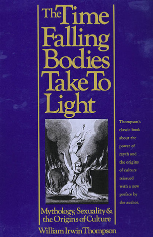 The Time Falling Bodies Take To Light book cover