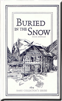 Buried in the Snow