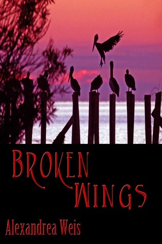 Broken Wings book cover