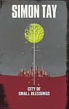 City of Small Blessings book cover