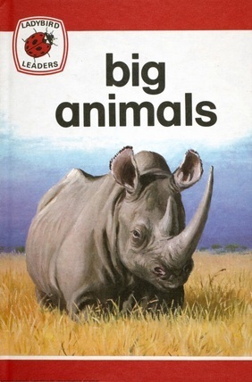 Big Animals book cover