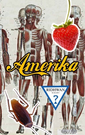 Amerika book cover