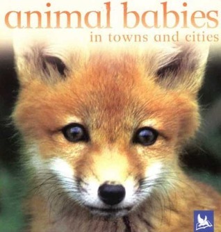 Animal Babies in Towns and Cities book cover