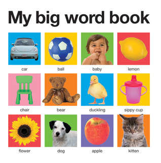 My Big Word Book (casebound) book cover