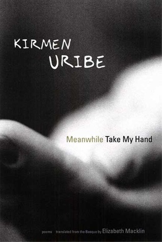 Meanwhile Take My Hand book cover