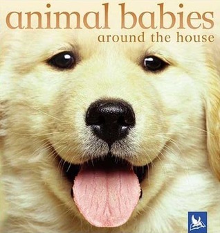 Animal Babies around the house book cover