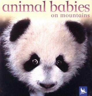 Animal Babies on Mountains book cover