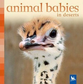 Animal Babies in Deserts book cover