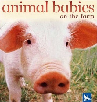 Animal Babies On the Farm book cover