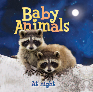 Baby Animals At Night book cover