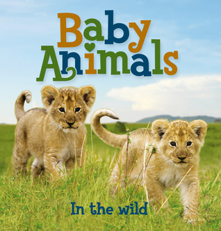 Baby Animals In the Wild book cover