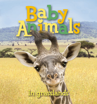 Baby Animals book cover